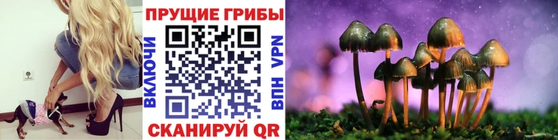 Галлюциногенные грибы мухоморы  Вязники 