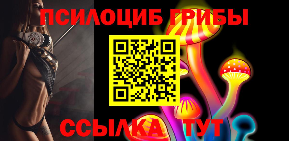 где можно купить наркотик  Галлюциногенные грибы прущие грибы  Вход с VPN  Вязники 